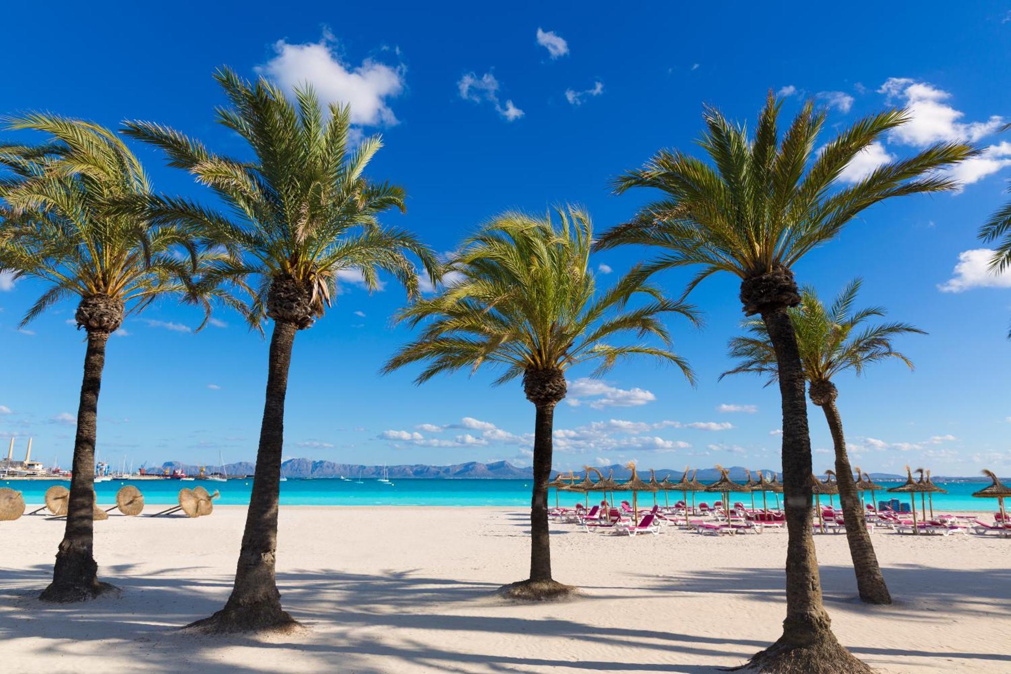 Alcudia Garden Aparthotel Port de Alcudia  Bagian luar foto